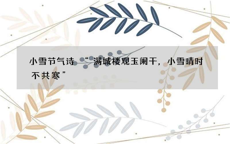 小雪节气诗 &ldquo;满城楼观玉阑干，小雪晴时不共寒&rdquo;
